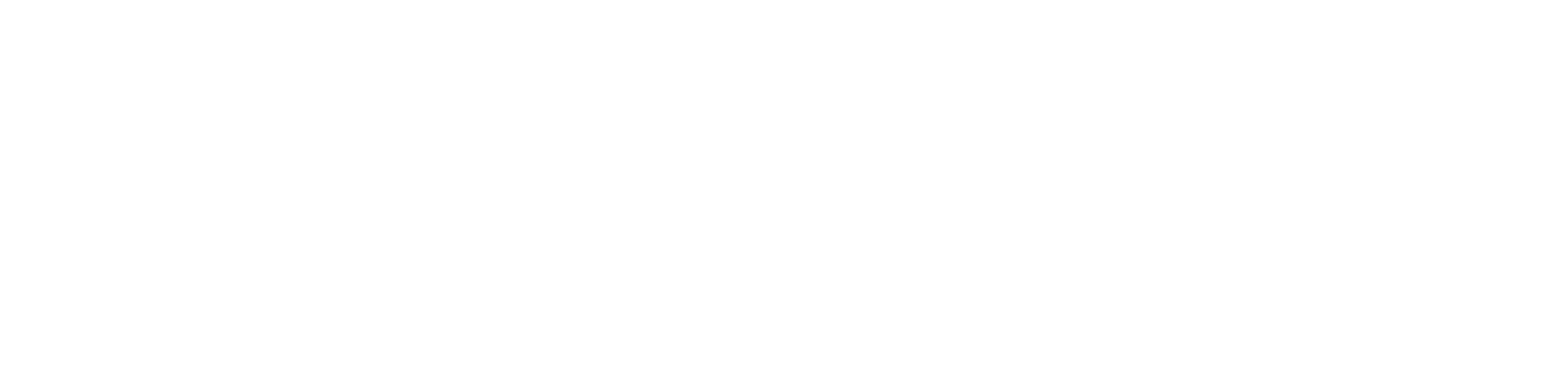Accel Media